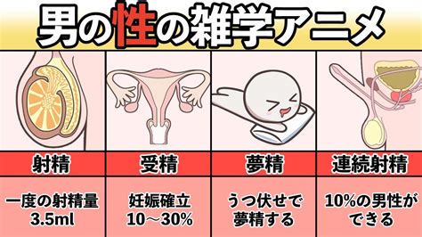 夢精とは？ 意味をやさしく解説